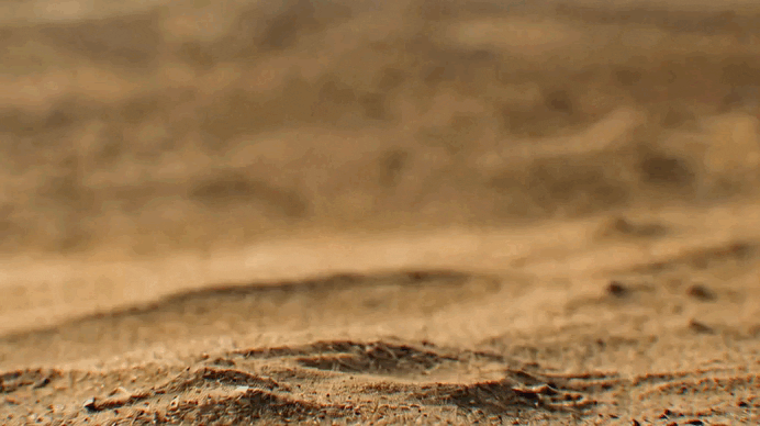 1776926385871620.gif 1776926385871620.gif