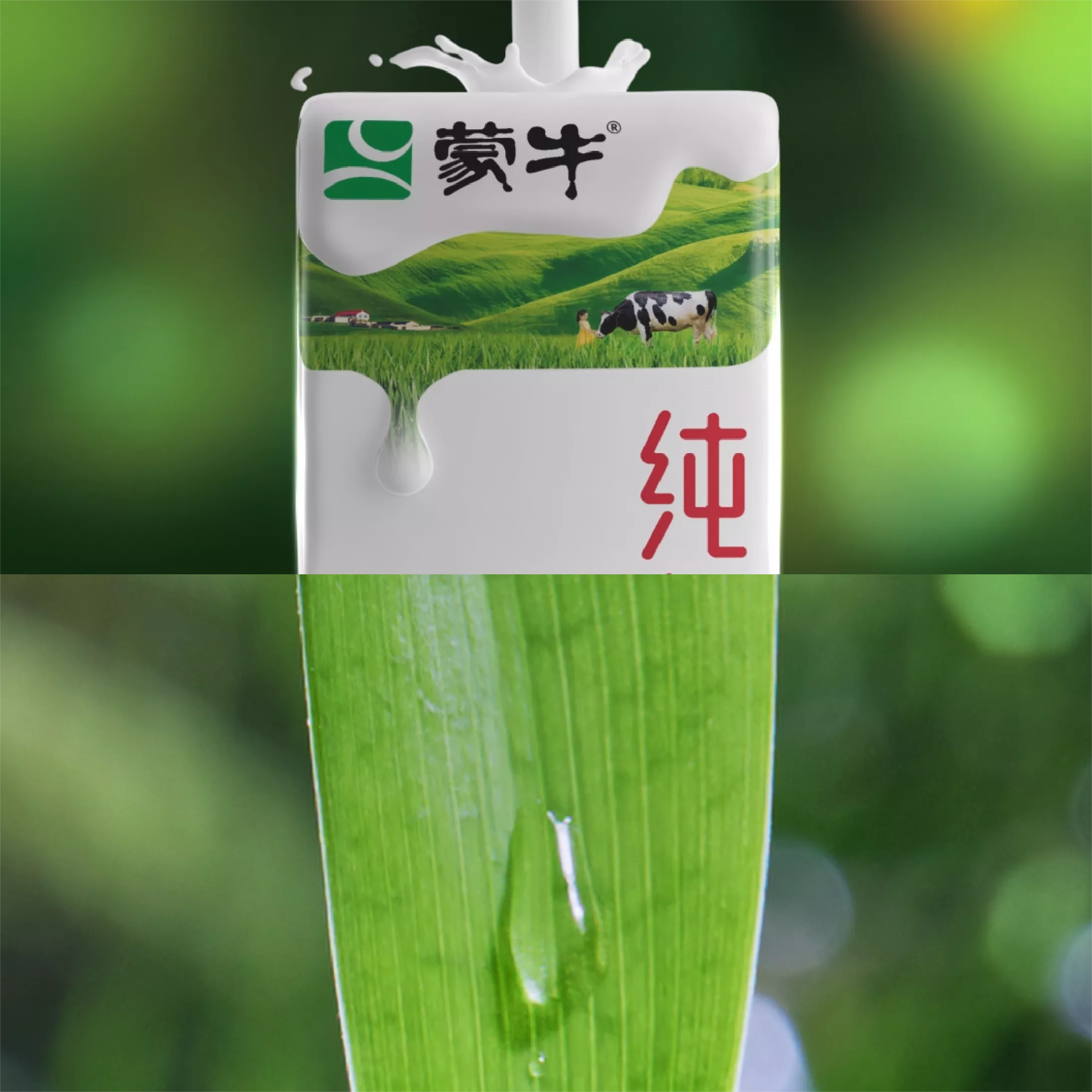 BU蓝昊 | 蒙牛 | “源”来这样才是好牛奶！